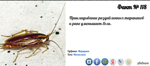 ����, ������� ������ ���� � ���