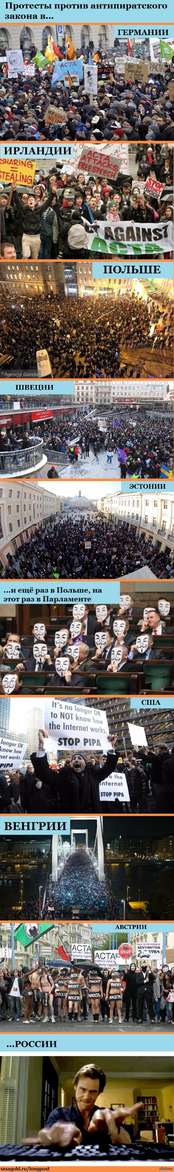 Анатомия протеста | Пикабу