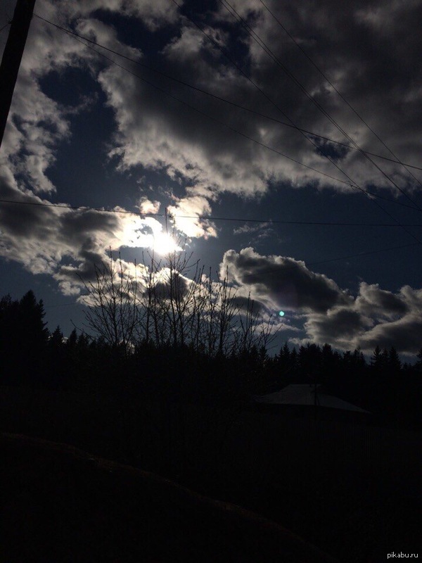 ������ ����