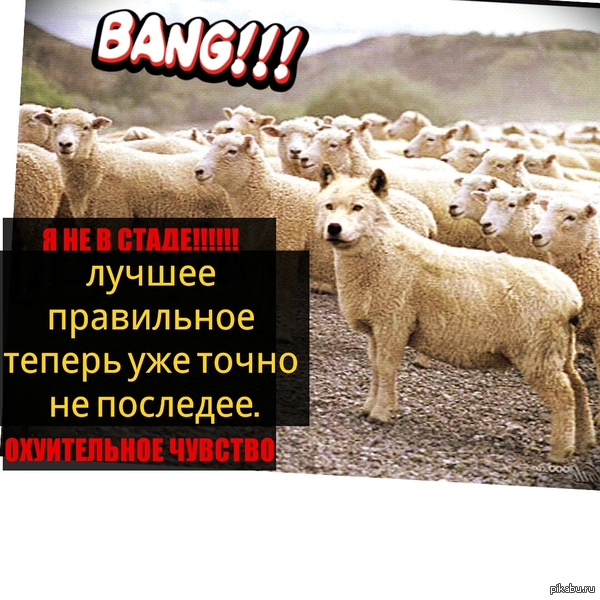    !!!    ... ,    ,         ?   