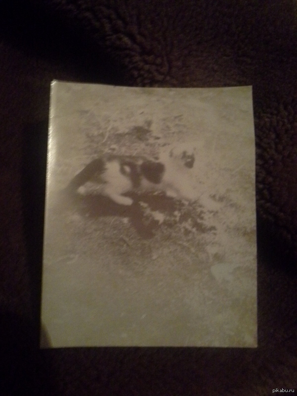 ������ ���� ������ ��������������� �����