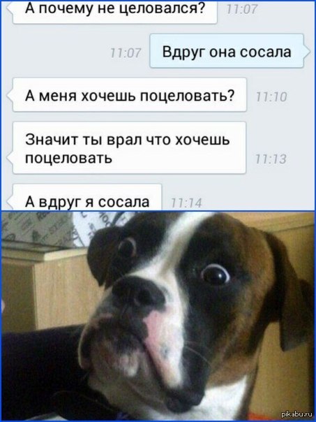 ��... �������������...