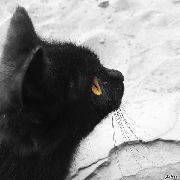 � ������ �����!