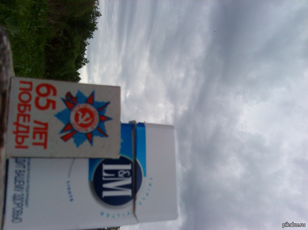 5 ��� �����