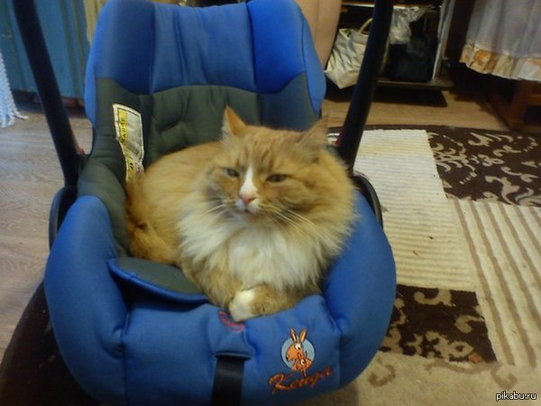 Это детям? Каким детям? Не, не слыхал