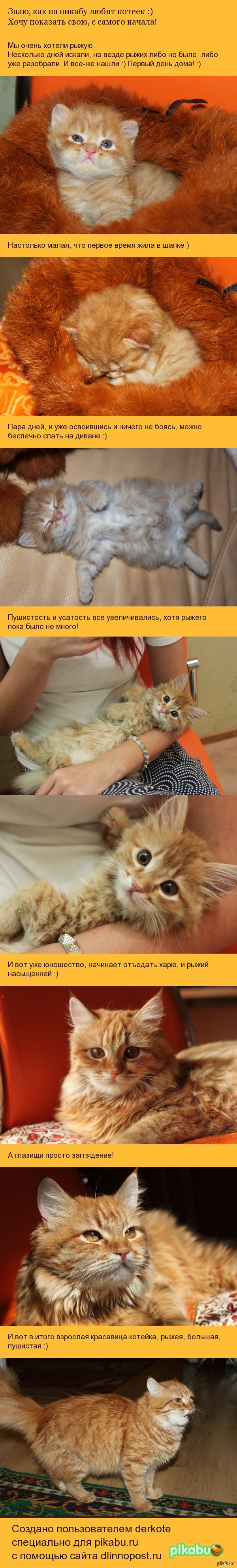 ������� ����� ����