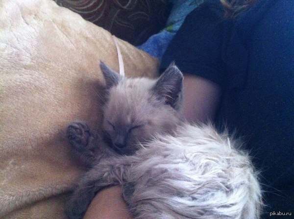 �������� ������� ��� ��� ������ ����� �����!!!