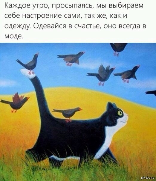   :