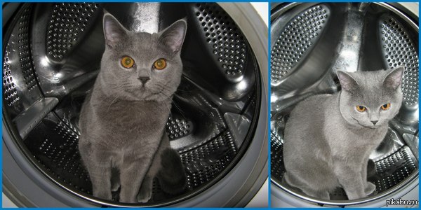 Что смотришь? Закрывай уже!