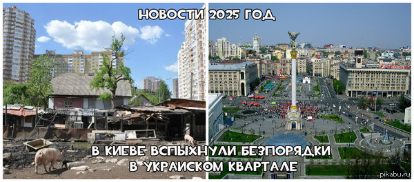   2025 ))) 