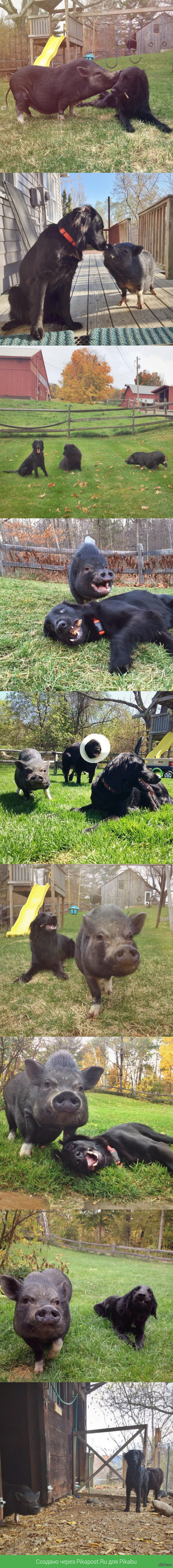 ������ �������� � �� ������ ������ ������ =)