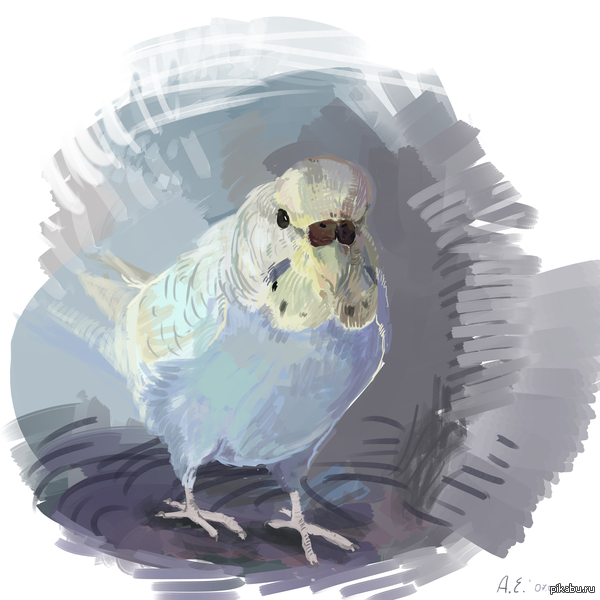 ��������� ����������