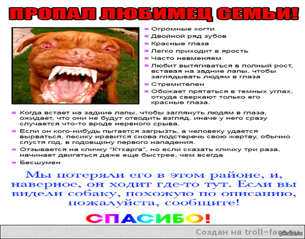 пропала собака