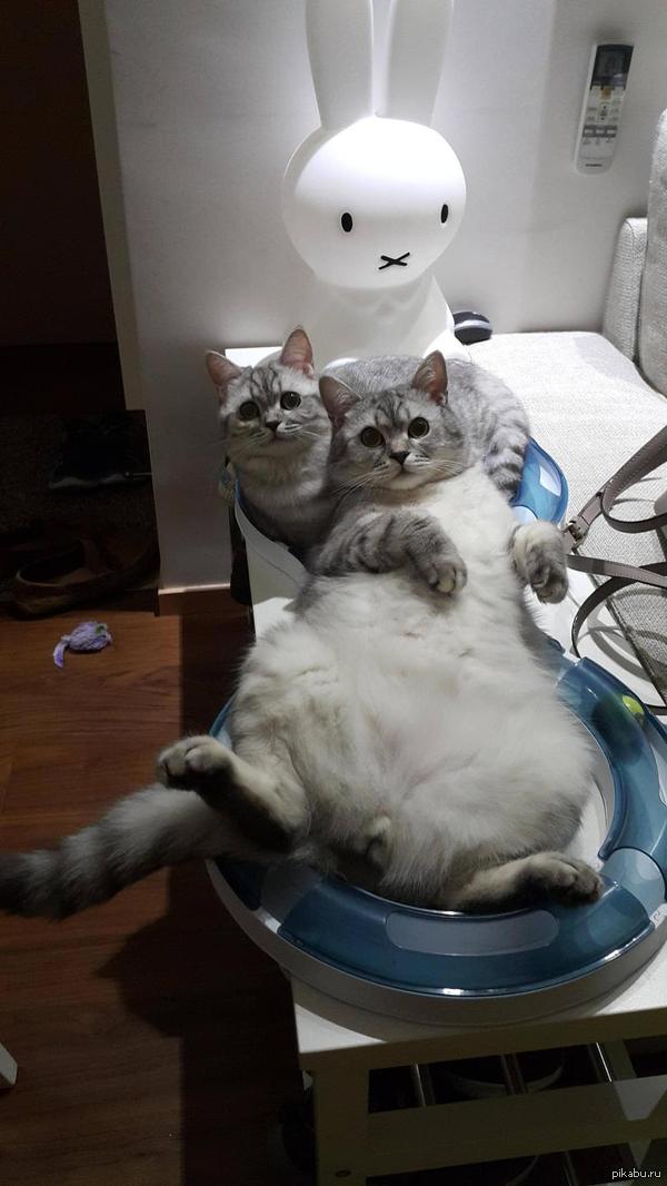 Почему мне кажется, что я что-то прервал?