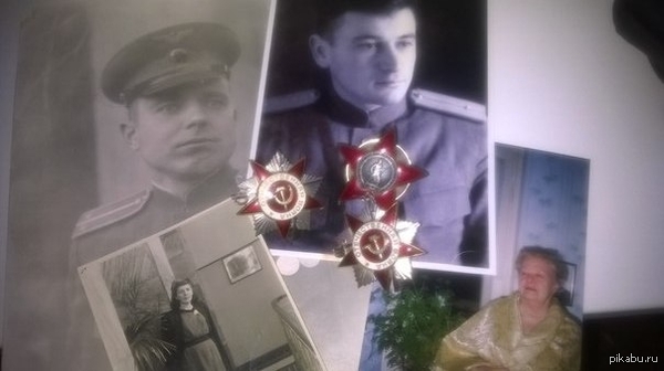 ��� ������