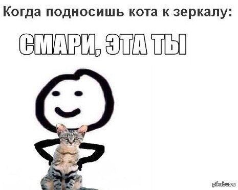 ) 