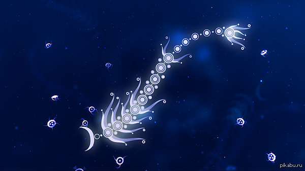 �� ���� ����� ����