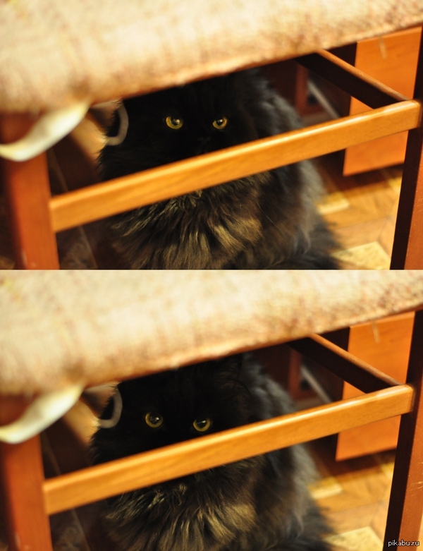 ��� �����