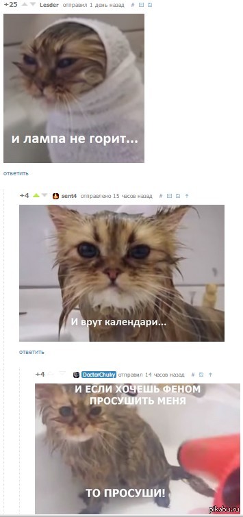     :)  <a href="http://pikabu.ru/story/kupanie_nepravilnogo_kota_3325225">http://pikabu.ru/story/_3325225</a>