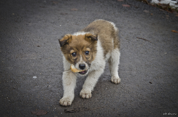 "���� ��� ��������?"