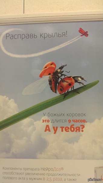 ������� � �������