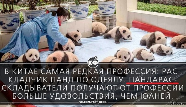 ����������.