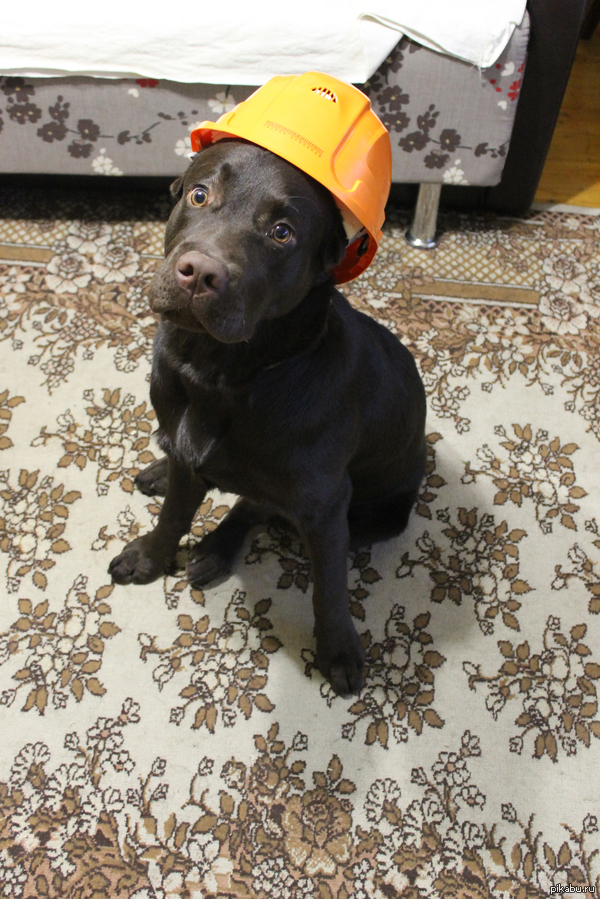 ������ � �����