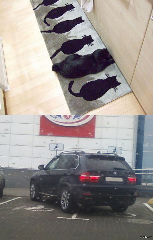 ���� ������ ��������� �� ��������.