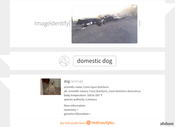   -  Mathematica     .