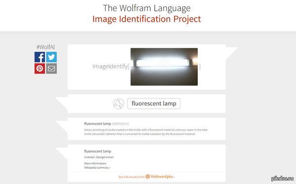     The Wolfram Language  Image Identification Project "        " https://www.imageidentify.com/