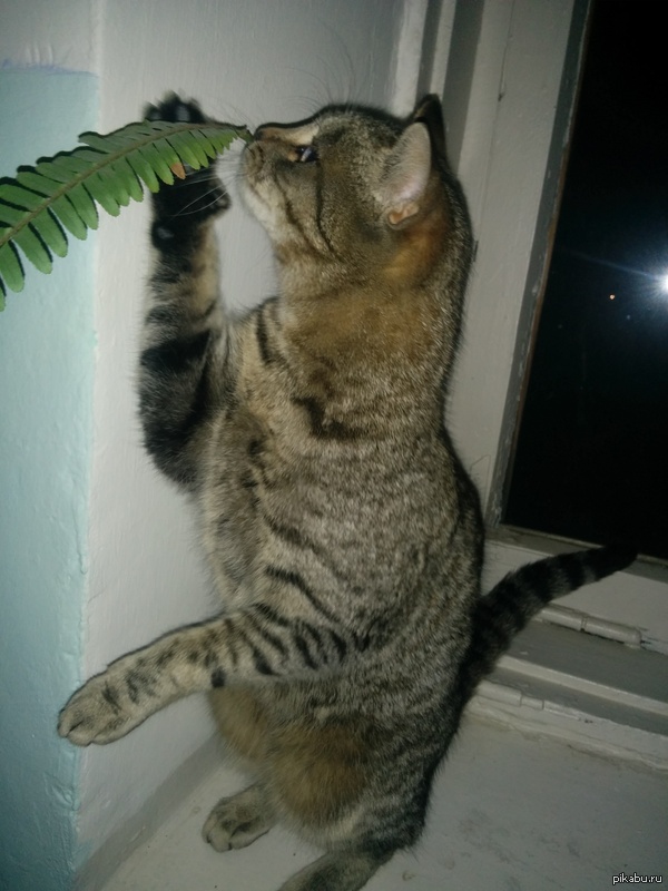 �������� ������ � �������� .