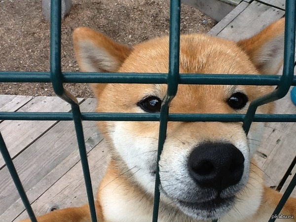 Нашел старую фотографию