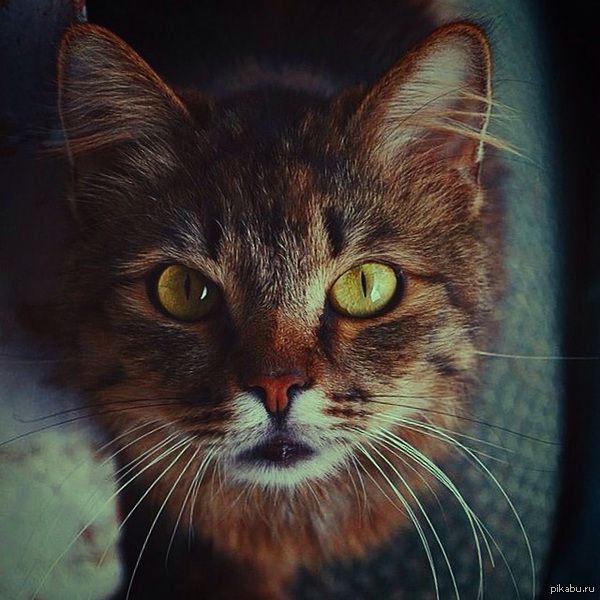      .   Nikon D3100