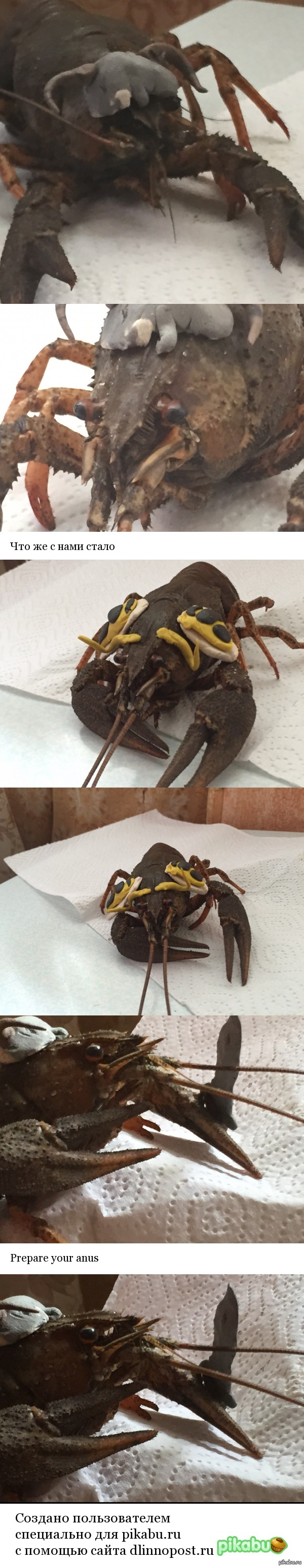 ��� � ����� � ����