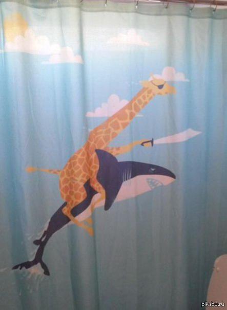 ����� ������ �� �����