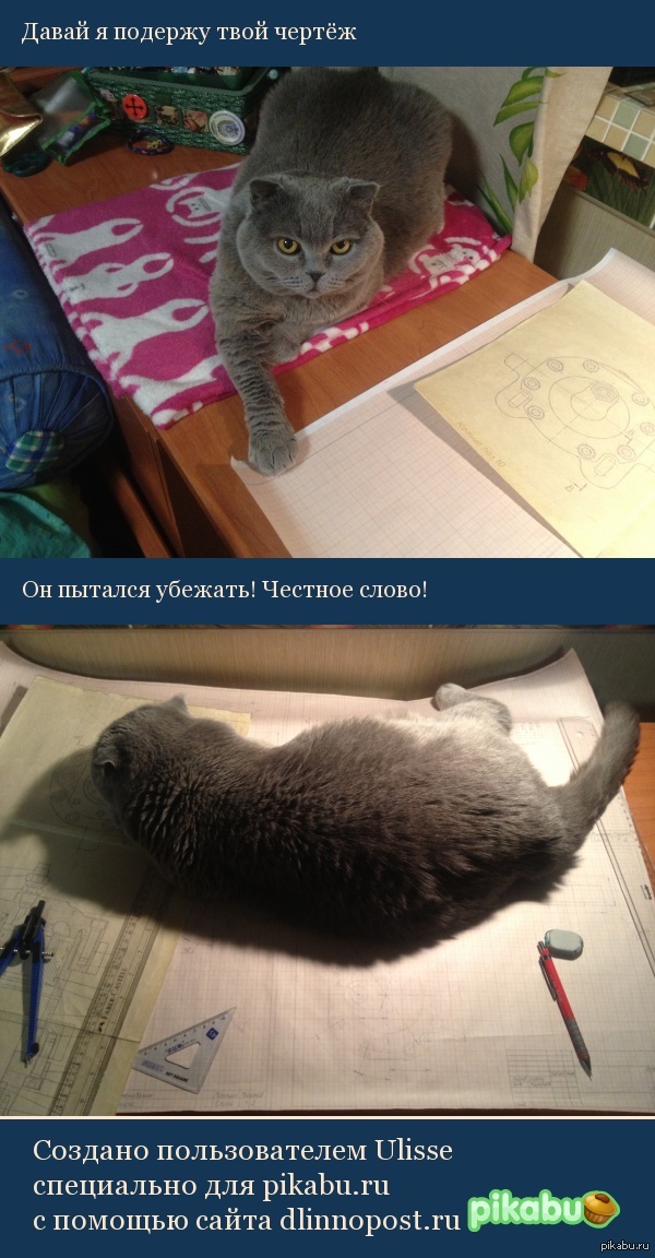 �� ������ �����������