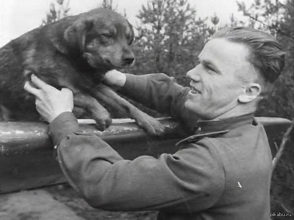 Трижды герой Советского Союза Иван Никитович Кожедуб с питомцем своего полка. Великая отечественная война.
