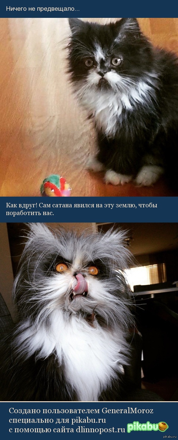 ����� ��� ���� �� ������� ������ ��������