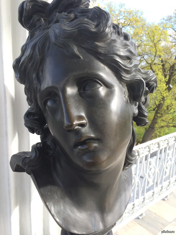 То чувство когда пришел гулять в парк и узнал что через 10 минут он закрывается.