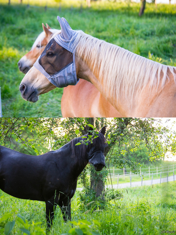 ������ ������ � ������....