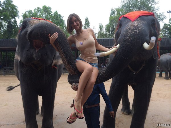 I'M A SIMPLE MAN   I SEE BOOBS, I PRESS LIKE - Boobs, Elephants, Girls, NSFW, 9GAG, Thailand