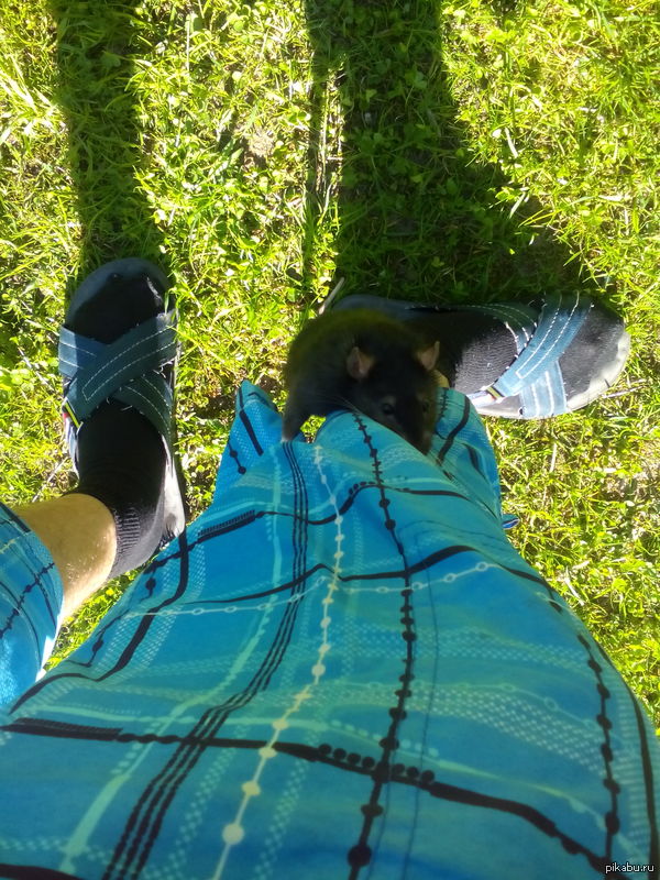 Впервые в новом мире)))