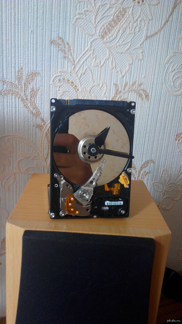 ���� � ������� �����