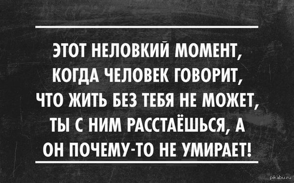 ���� �������� ������