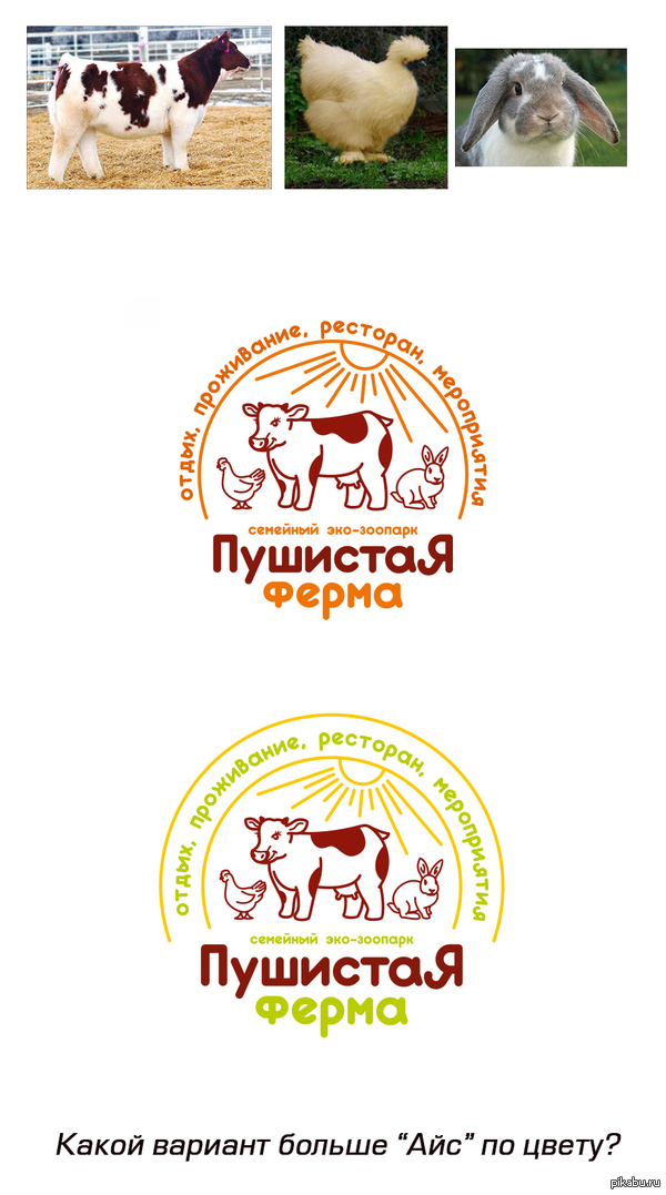 Logo of a family farm-zoo in Leningrad region - My, Logo, Work, Form style, Project, Business