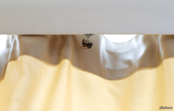 ��� ���������, ���� � ���� ������� ������� ��� � �������� ������ ������?