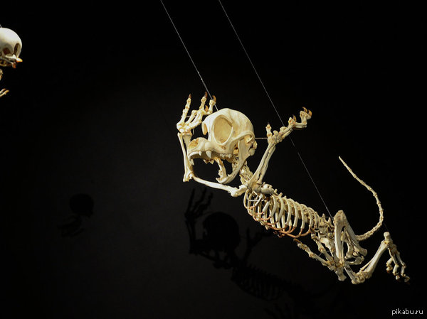       )))   &quot;, &quot;,  !