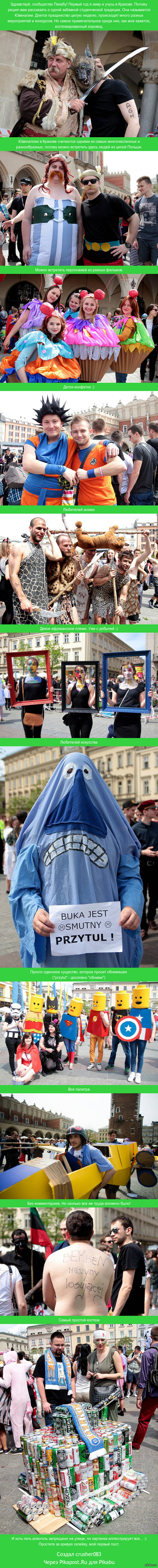 Ювеналии Краковские