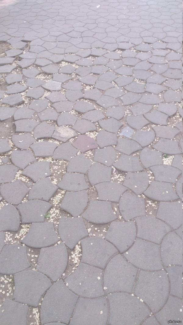 ������������? ��, �� ������