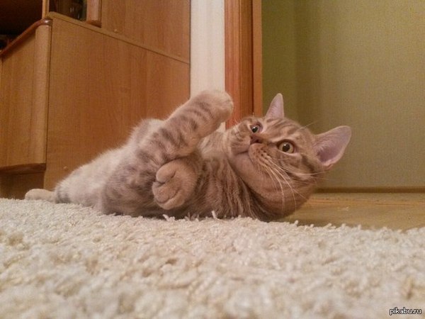 ����� ���������� ����� � �����